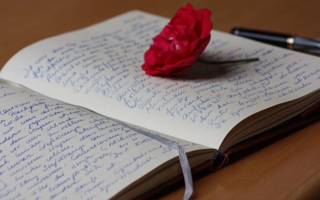 Über das Leben schreiben